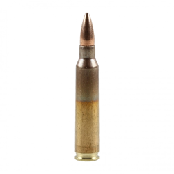 Kal. .223Rem 55gr FMJ GGG